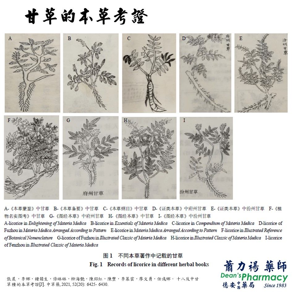 投影片1