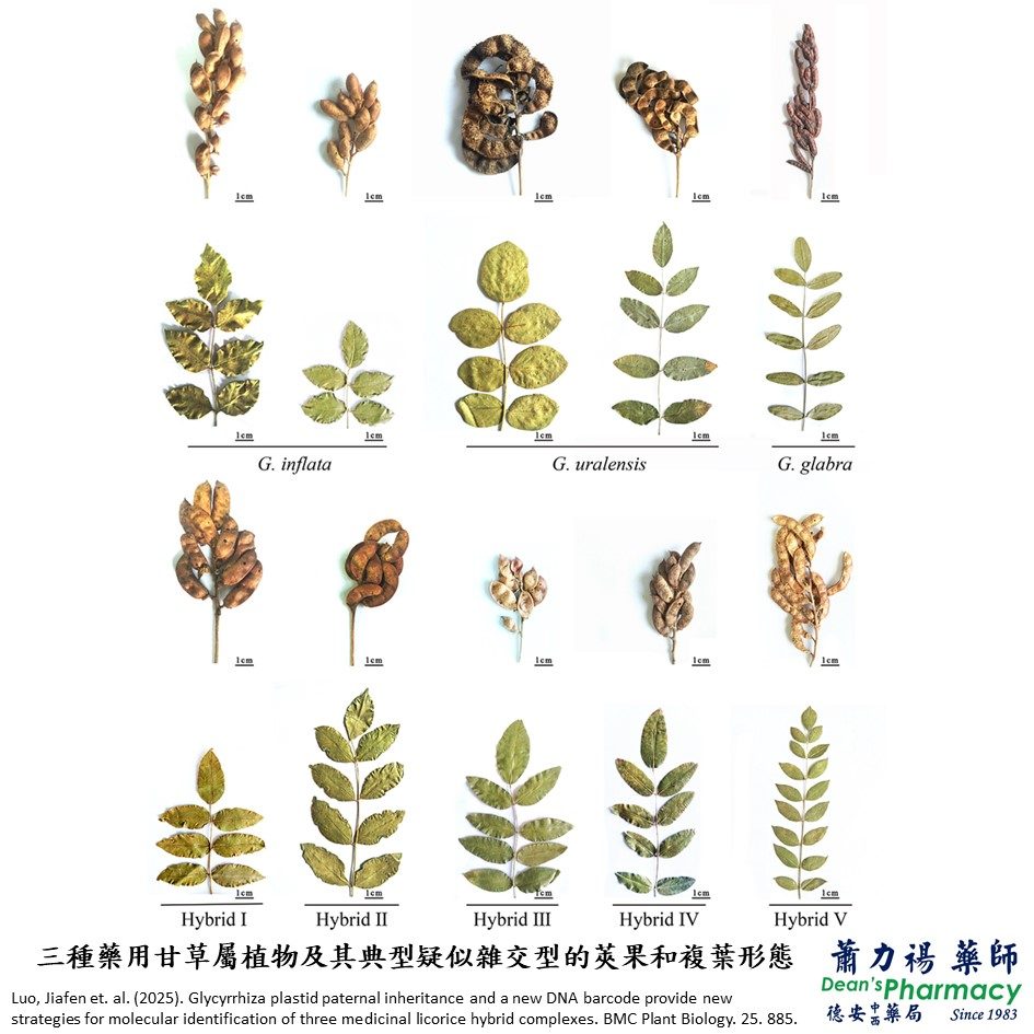 投影片3