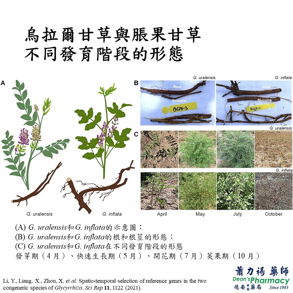 投影片4