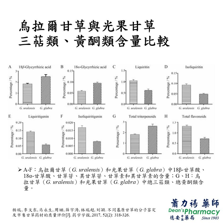 投影片10