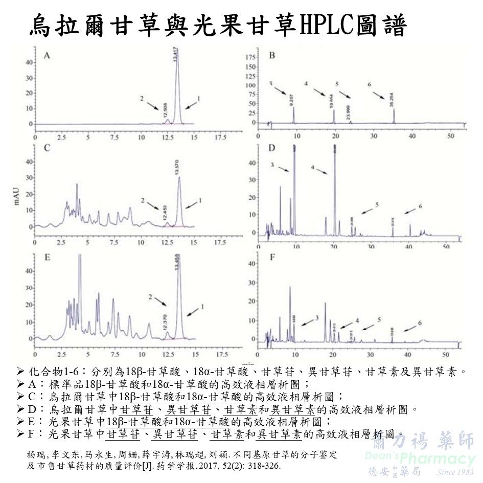 投影片11