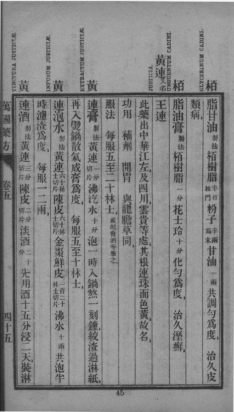 20260312 黃連 鴨嘴花