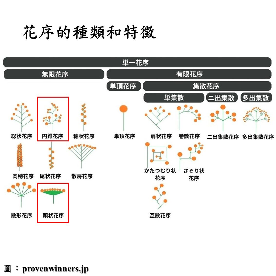 投影片3