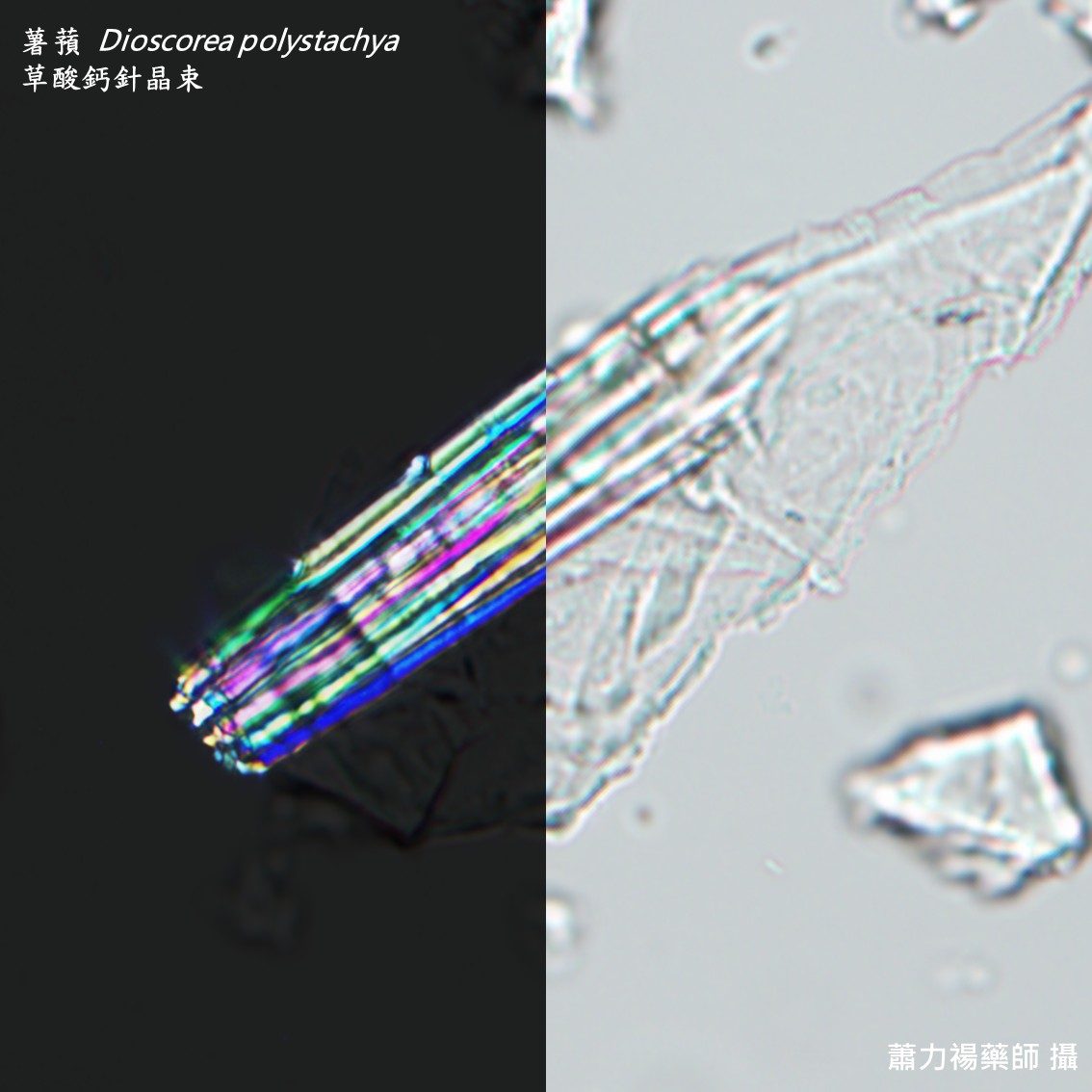 投影片5
